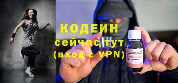 apvp Кукмор