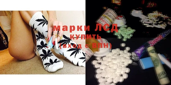 apvp Кукмор