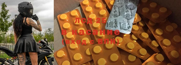 apvp Кукмор