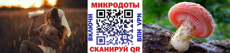 Псилоцибиновые грибы прущие грибы Липки
